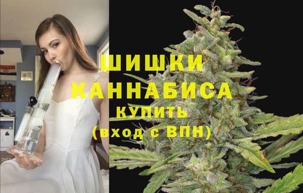 амф Михайловка