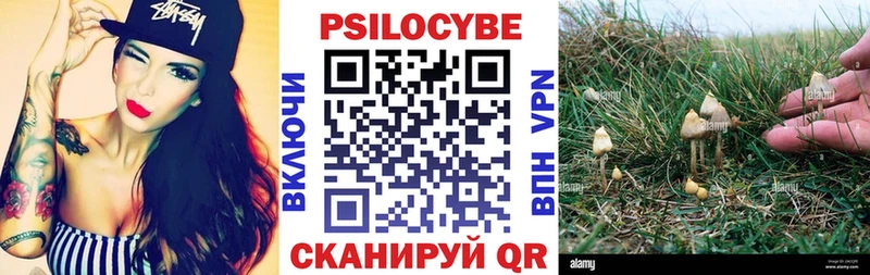 Галлюциногенные грибы ЛСД  Ермолино 